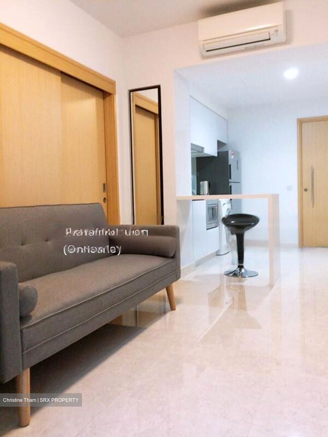 Eight Riversuites (D12), Condominium #468465251